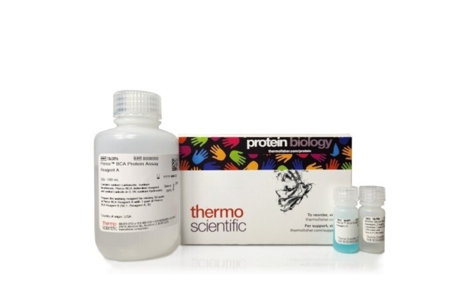 Pierce™ BCA Protein Assay Kits