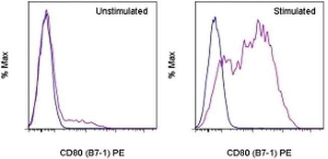 CD80 (B7-1) Monoclonal Antibody (16-10A1), PE, eBioscience