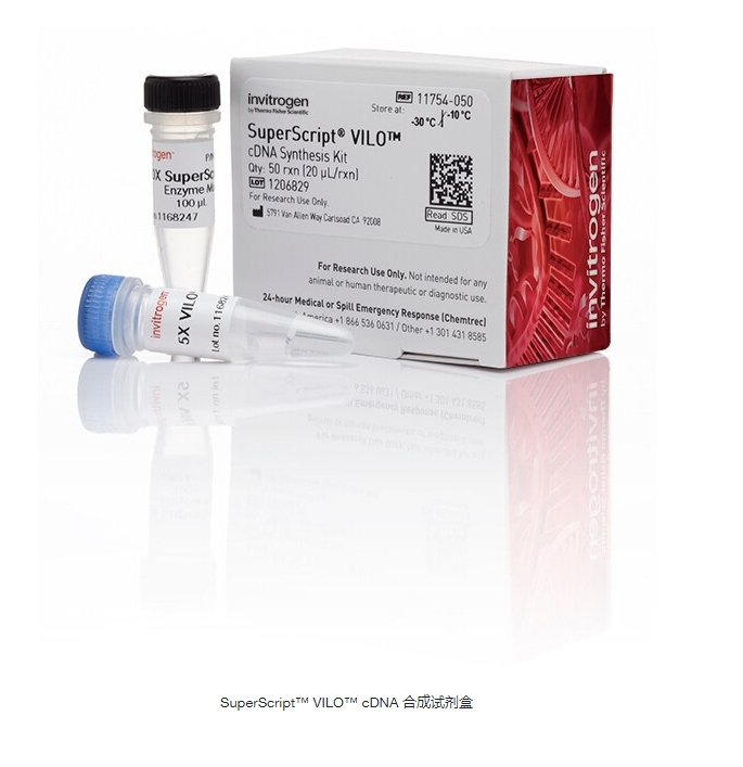 SuperScript™ VILO™ cDNA 合成试剂盒