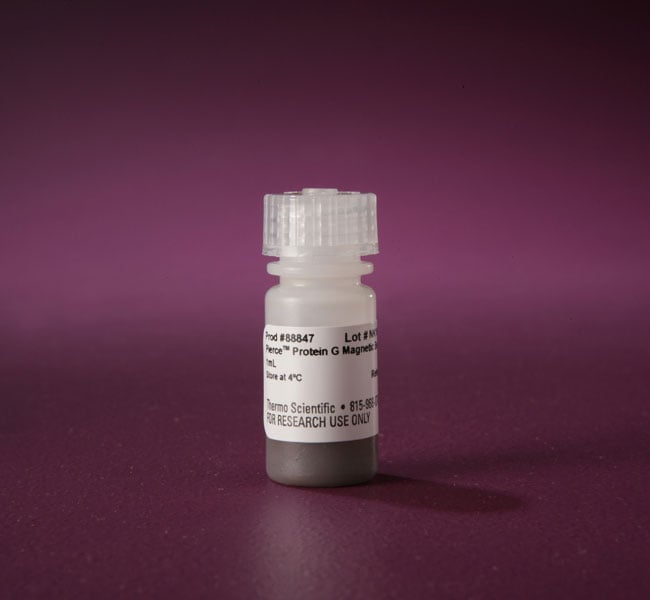 Pierce 蛋白 G 磁珠