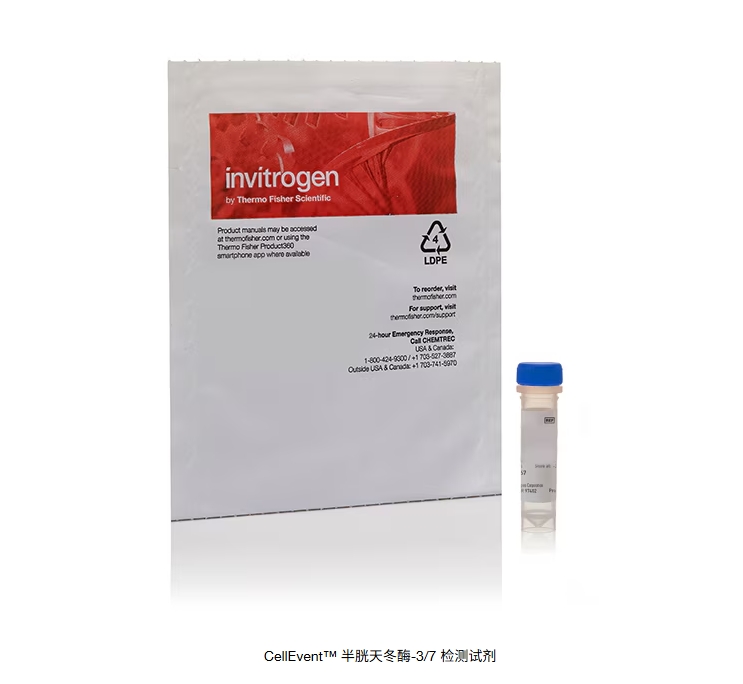 CellEvent™ 半胱天冬酶-3/7 检测试剂