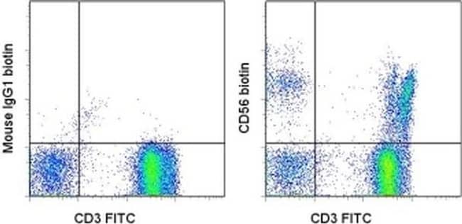 CD56 (NCAM) Monoclonal Antibody (CMSSB), Biotin, eBioscience