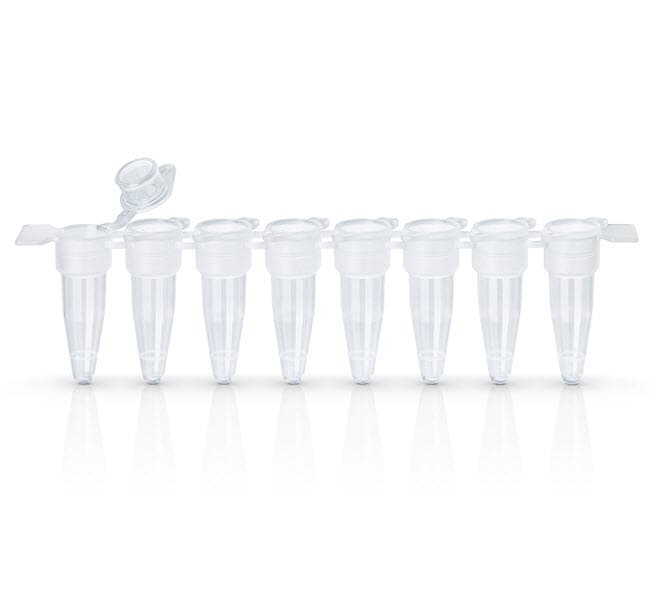 EasyStrip Plus Tube Strip with Attached Flat Caps, Sustain Series