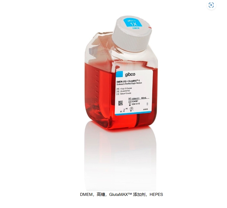 DMEM，高糖，GlutaMAX™ 添加剂，HEPES