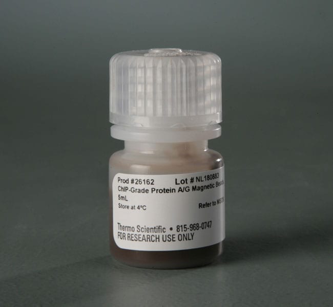 Pierce ChIP 级蛋白 A/G 磁珠