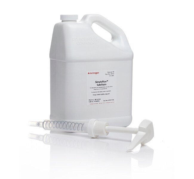 SimplyBlue SafeStain