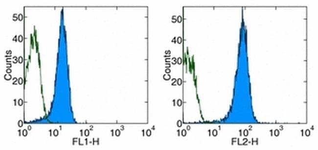 CD31 (PECAM-1) Monoclonal Antibody (390), Biotin, eBioscience