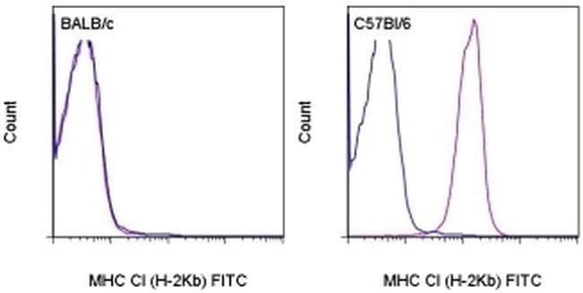 MHC Class I (H-2Kb) Monoclonal Antibody (AF6-88.5.5.3), FITC, eBioscience