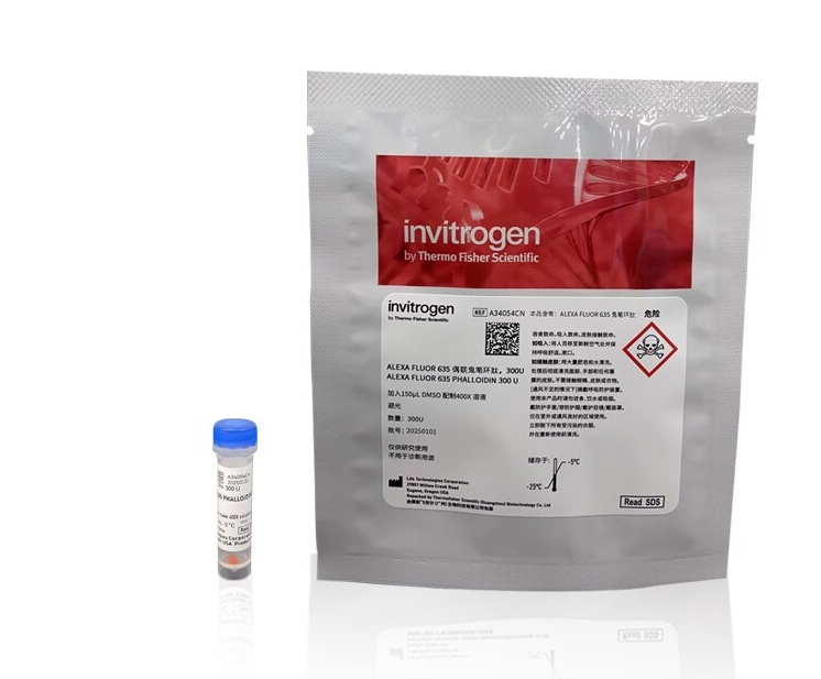 Phalloidin Conjugates