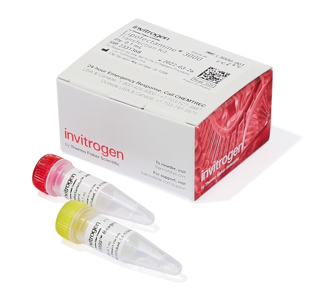 Lipofectamine 3000转染试剂，0.1mL