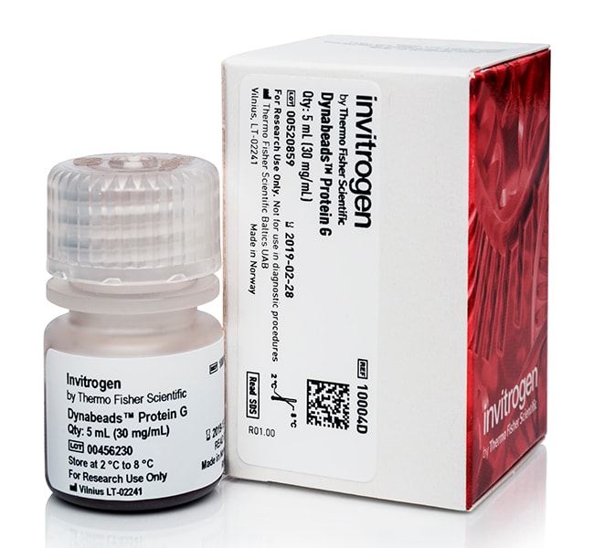 用于免疫沉淀的 Dynabeads 蛋白 G, 5 mL