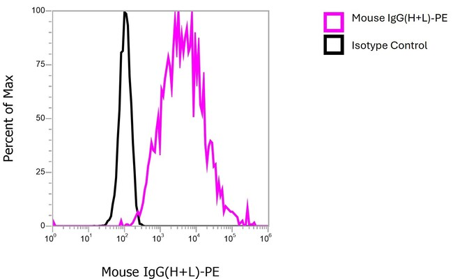 Goat anti-Mouse IgG (H+L) Cross-Adsorbed Secondary Antibody, PE