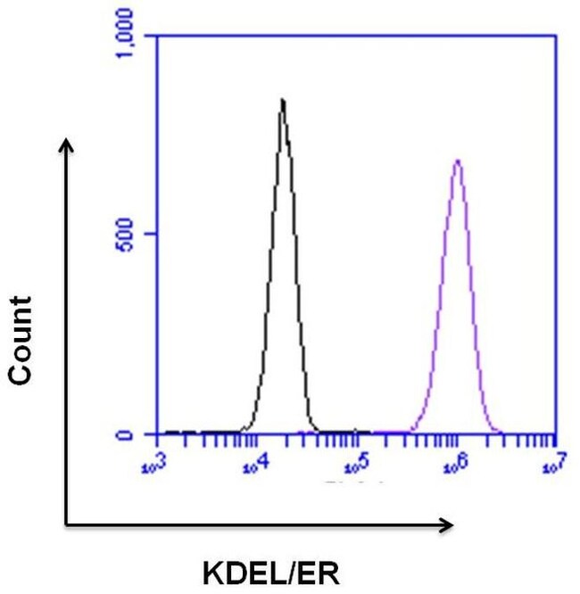 KDEL Polyclonal Antibody
