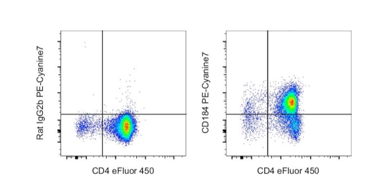 CD184 (CXCR4) Monoclonal Antibody (2B11), PE-Cyanine7, eBioscience™