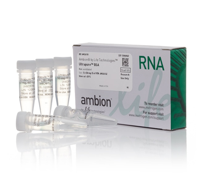 UltraPure BSA (50 mg/mL)