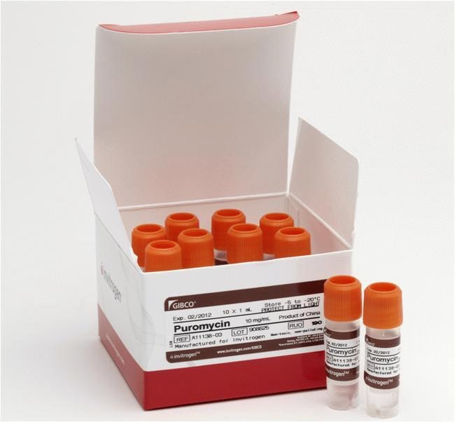 嘌呤霉素盐酸盐（选择性抗生素)，10x1mL，Puromycin