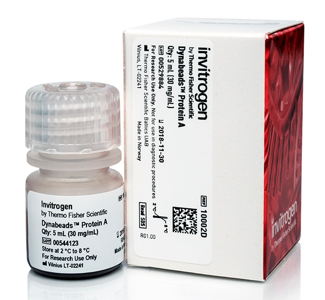 用于免疫沉淀的 Dynabeads 蛋白 A, 5 mL
