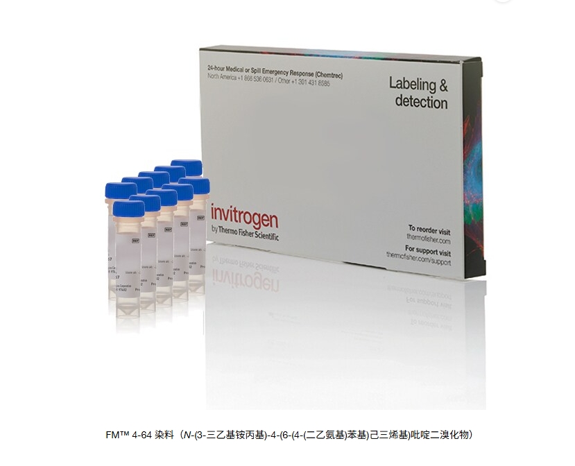 FM™ 4-64 染料（N-(3-三乙基铵丙基)-4-(6-(4-(二乙氨基)苯基)己三烯基)吡啶二溴化物）
