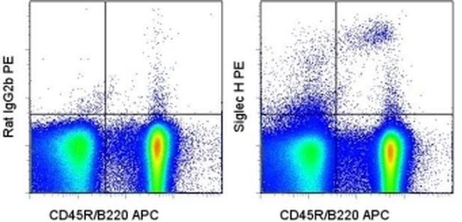 SIGLEC H Monoclonal Antibody (eBio440c), PE, eBioscience