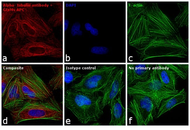 Goat anti-Mouse IgG (H+L) Cross-Adsorbed Secondary Antibody, APC