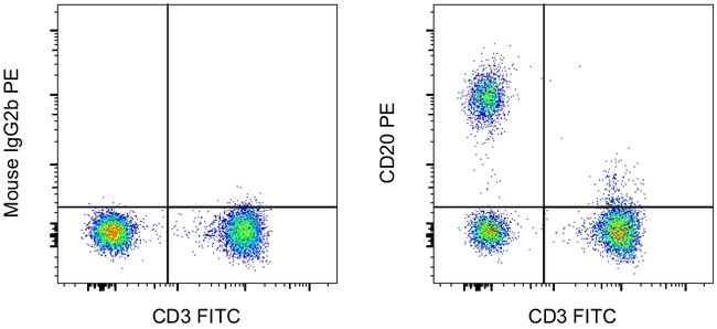 CD20 Monoclonal Antibody (2H7), PE, eBioscience