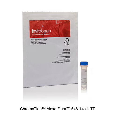 核酸试剂 CHROMATIDE ALEXA FLUOR 546-14-