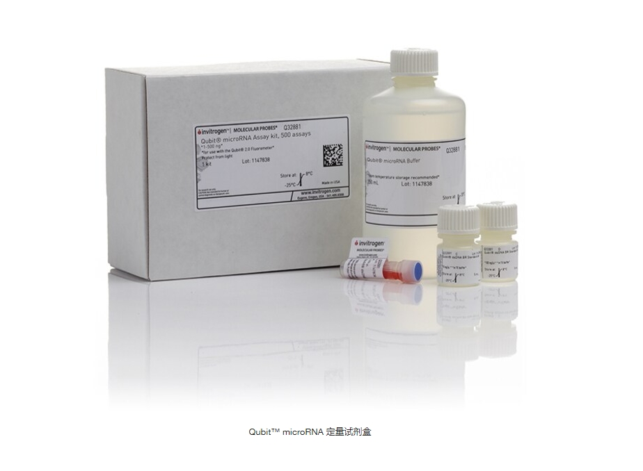 Qubit™ microRNA 定量试剂盒