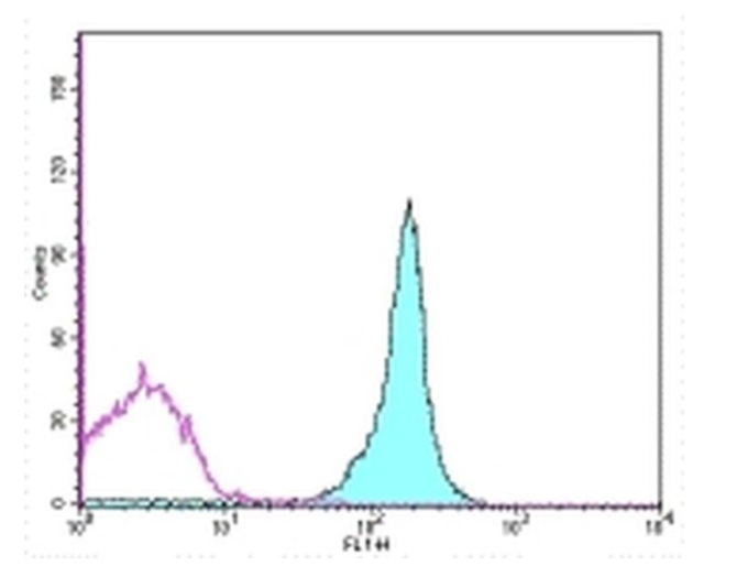 CD45.2 Monoclonal Antibody (104), FITC, eBioscience™