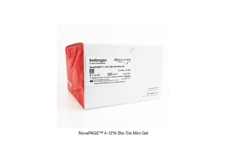 4-12% Bis-Tris迷你凝胶NOVAPAGE BIS-TRIS 4-12% 10WELL