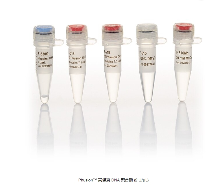 Phusion™ 高保真 DNA 聚合酶 (2 U/μL)