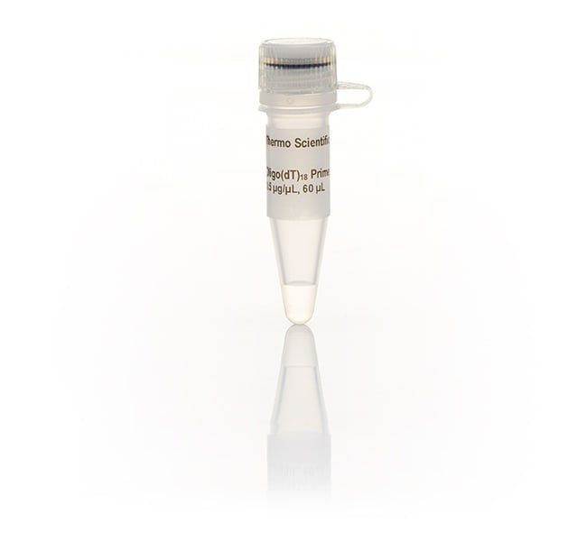 Oligo dT 18 引物, 120 μL