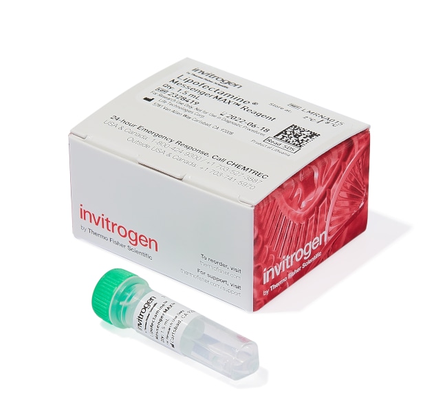 Lipofectamine MessengerMAX 转染试剂