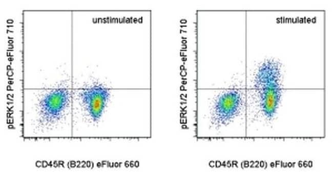 Phospho-ERK1/2 (Thr202, Tyr204) Monoclonal Antibody (MILAN8R), PerCP-eFluor 710, eBioscience
