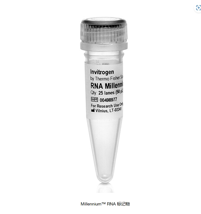 Millennium™ RNA 标记物