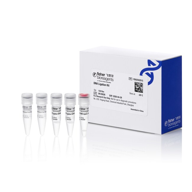 DNA 连接试剂盒, 150 次反应