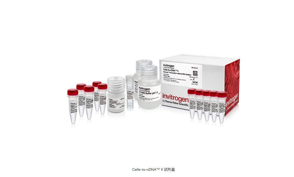 Cells-to-cDNA™ II 试剂盒