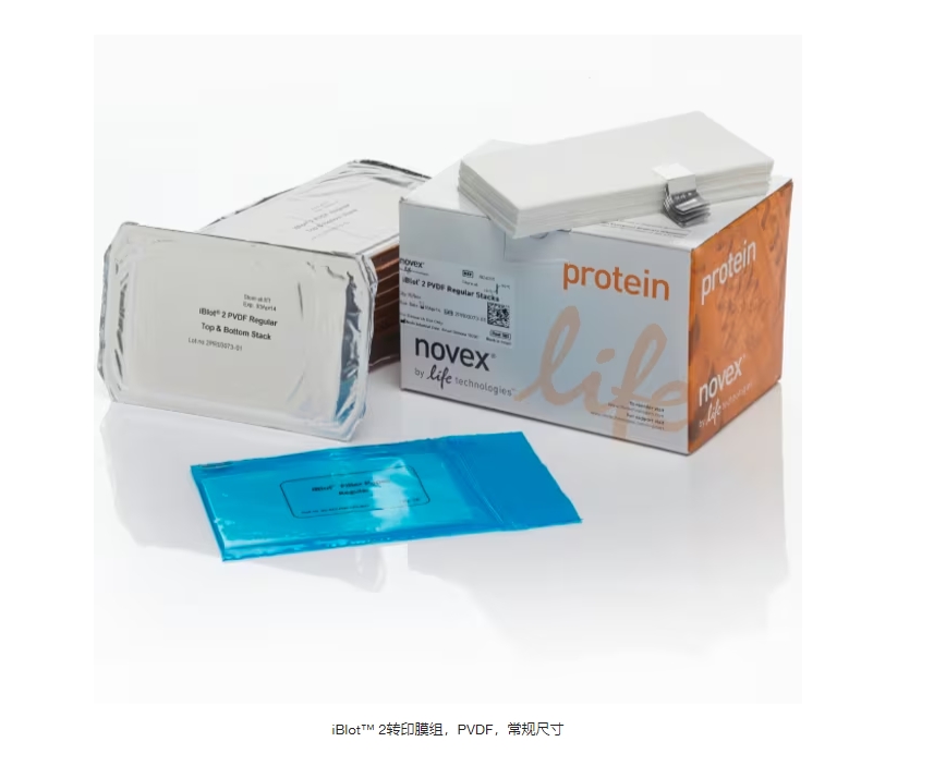 iBlot™ 2转印膜组，PVDF，常规尺寸