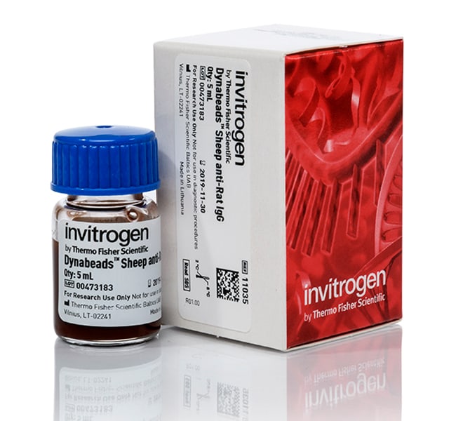 Dynabeads 二抗包被磁珠， 绵羊抗大鼠 IgG， 5 mL