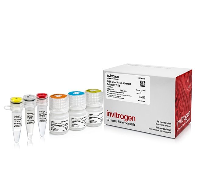 SYBR Green Fast Advanced Cells-to-CT 试剂盒