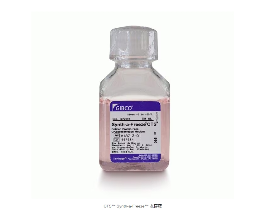 CTS™ Synth-a-Freeze™ 冻存液