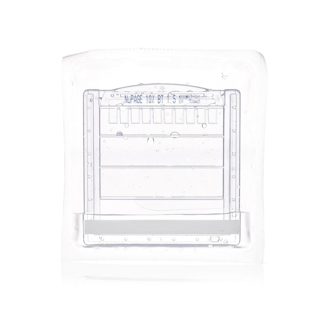 NuPAGE 10%，Bis-Tris蛋白预制胶，1.5 mm，10 孔