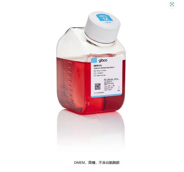 DMEM，高糖，不含谷氨酰胺