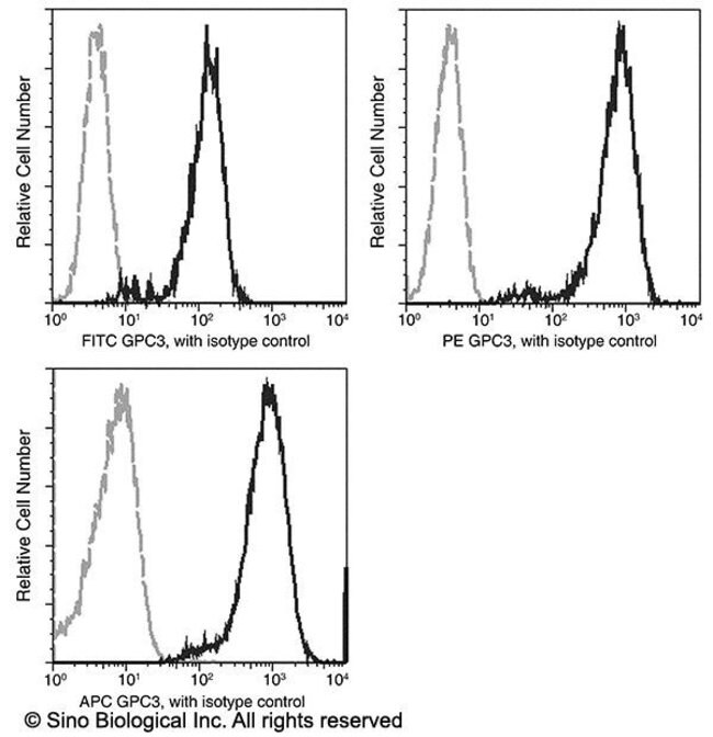 Glypican 3 Recombinant Rabbit Monoclonal Antibody (024), APC