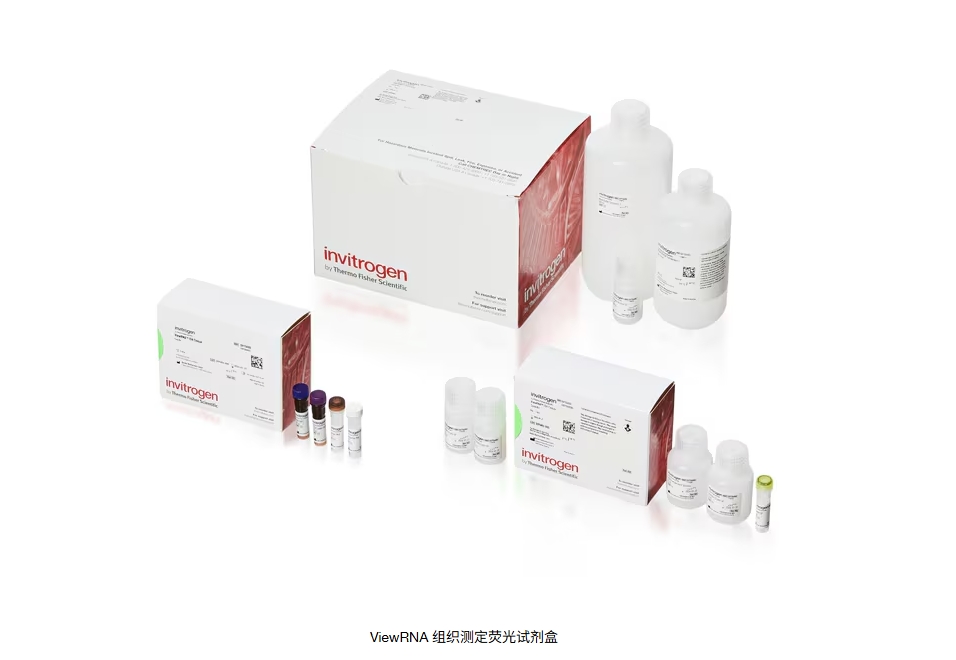 ViewRNA 组织测定荧光试剂盒