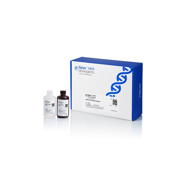Western Blot 信号增强剂, 500 mL