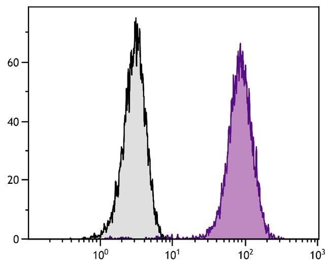LAMP2 Monoclonal Antibody (H4B4), Alexa Fluor 647
