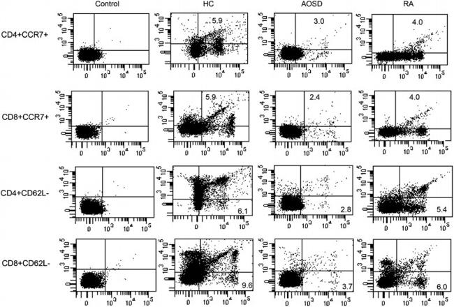 E-cadherin Monoclonal Antibody (ECCD-2)