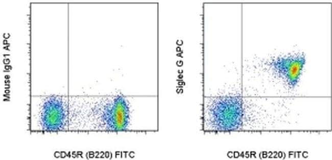 Siglec-G Monoclonal Antibody (SH2.1), APC, eBioscience
