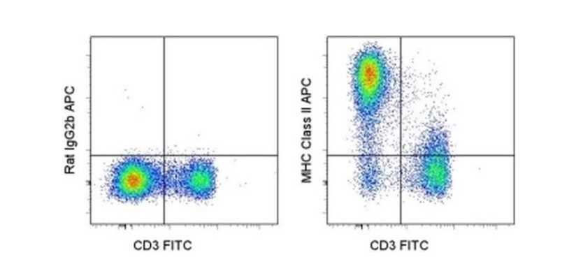 MHC Class II (I-A/I-E) Monoclonal Antibody (M5/114.15.2), APC, eBioscience™