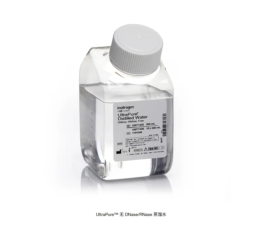 UltraPure™ 无 DNase/RNase 蒸馏水
